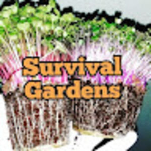 Meet your Posher, Survival